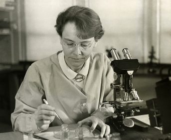 Black and white photo of Barbara McClintock in her lab in 1947, courtesy of the Smithsonian