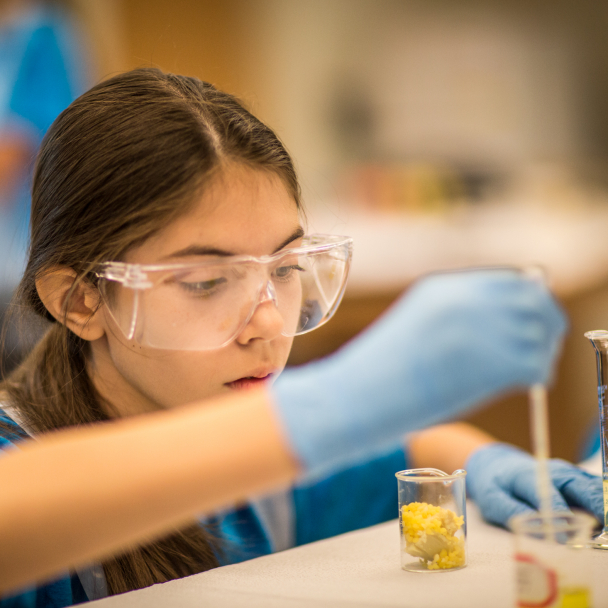 Young girl wearing safety goggles and gloves conducts chemical experiment in beaker.