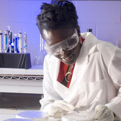 2007-08 American Fellow Esther Ngumbi working in her lab