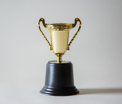 Photo of a trophy (photo by Giorgio Tovato for Unsplash