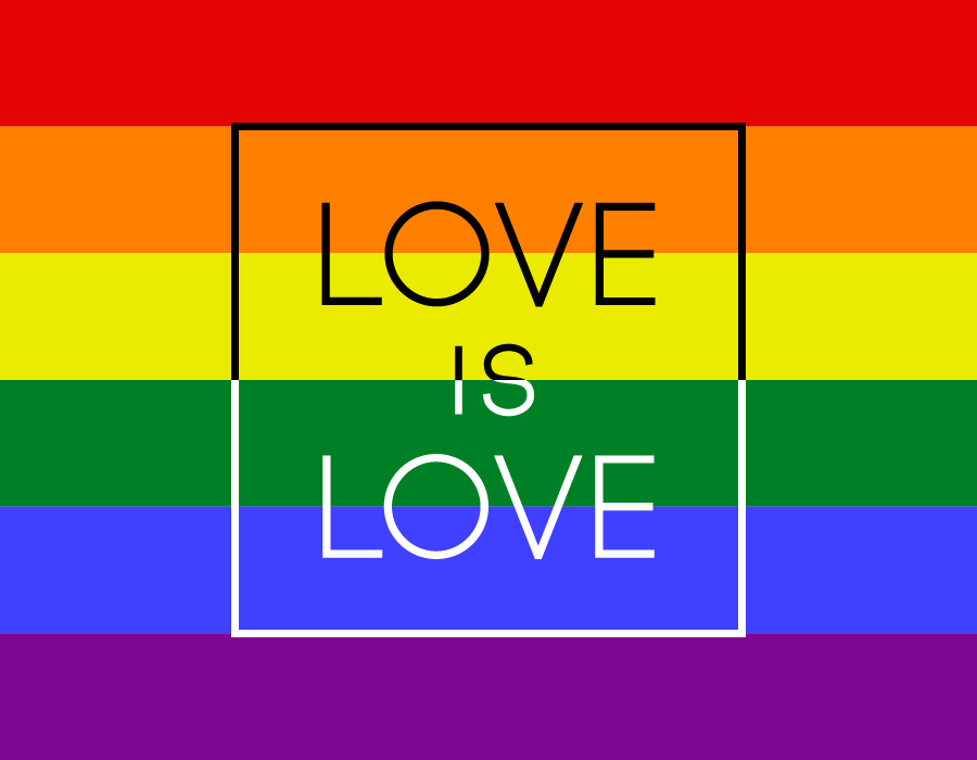 A rainbow flag with the word Love is Love on it. To illustrate sexual orientation