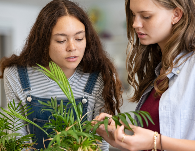 High school girls in science laboratory studying and examining plants growth through the leaves. Close up face of two young college classmates working on sience or biology project at school.