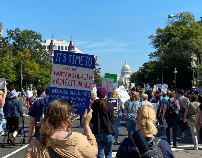 Photo of the backs of marchers holding signs in DC with the capitol building in the distance.
