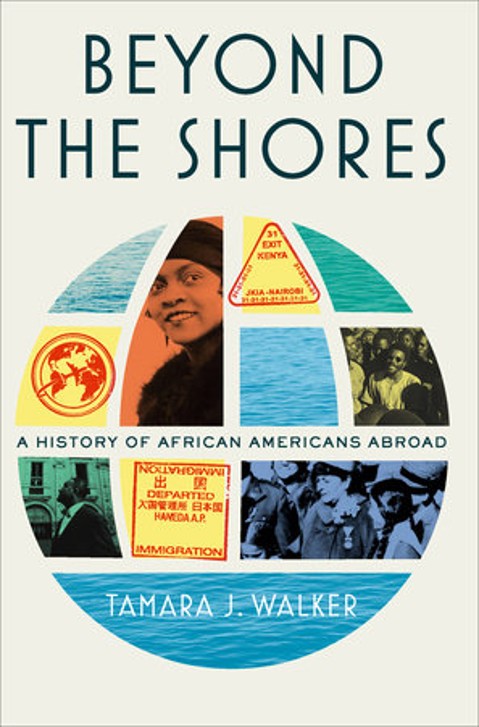 Beyond The Shores by Tamara J. Walker book cover.